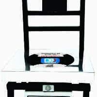 Gold Sun Scale Weighing Machine Chicken Plate From Scale With 200 Kg Capacity